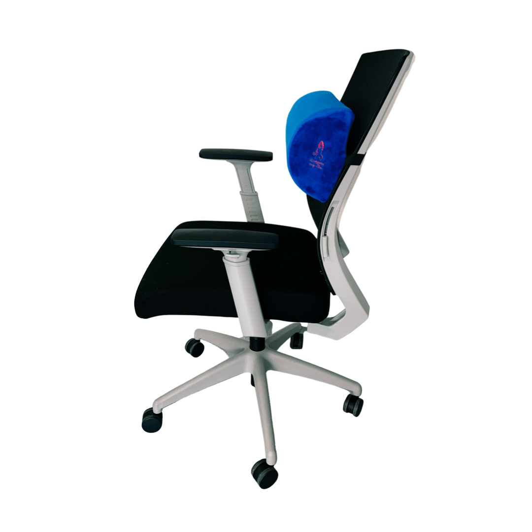 BBL PILLOW WITH BACKREST CUSHION COMBO (Blue) - Bombshell Booty Pillow